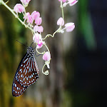 3683239545_5be65e1951_z.jpg
