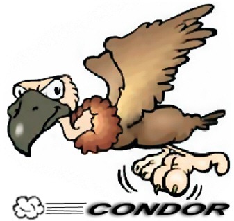 [condor%2520logo%255B4%255D.jpg]