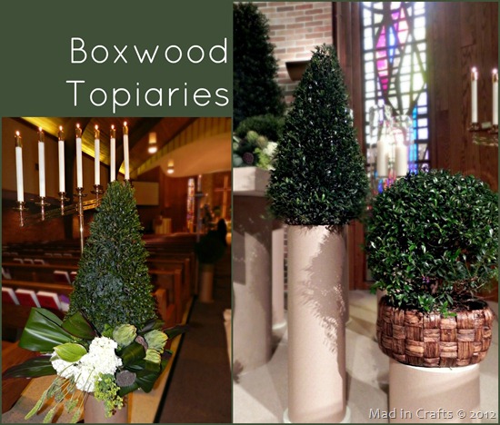 boxwood topiaries