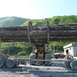 P1040649c.jpg