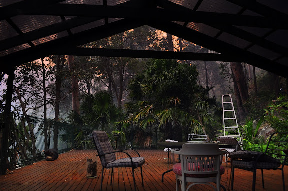 La terrasse, un jour d'incendie de forêt. Umina Beach (NSW, Australie), 23 septembre 2011. Photo : Barbara Kedzierski