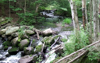 [DSCF78474.jpg]