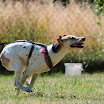 maya_H_abruf_1.jpg