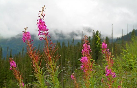 [post319346_img1%255B4%255D.jpg]