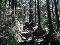 DSC00359.JPG Photo