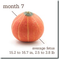 30 weeks