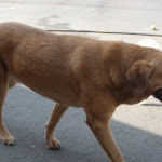 DSCN4922.jpg