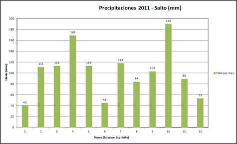 Precipitaciones Año 2011