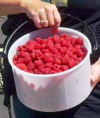 raspberries