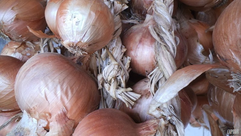 [DSCF1868%255B9%255D.jpg]