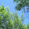 s4031066.jpg s4031066.jpg