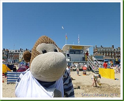 Weymouth Lifeguard