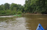 IMG_5850.JPG Photo