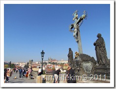 IMG_1294 IMG_1294