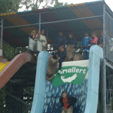 IMAG0020.jpg