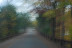 16-Saturday Drive