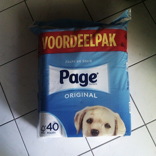 IMAG0741 IMAG0741