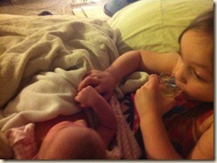 IMG_0181 IMG_0181