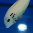 DSC_2169.jpg