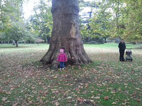 2010-10-23 11.28.01.jpg