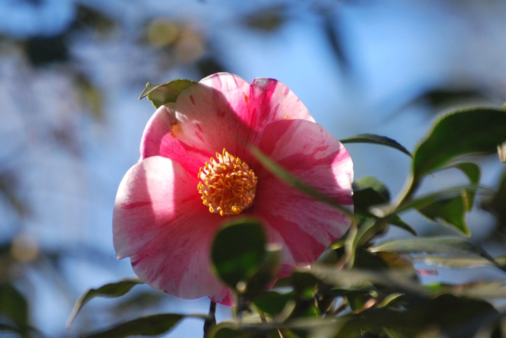 [DSC_58443.jpg]