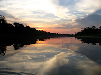 Amazon sunset
