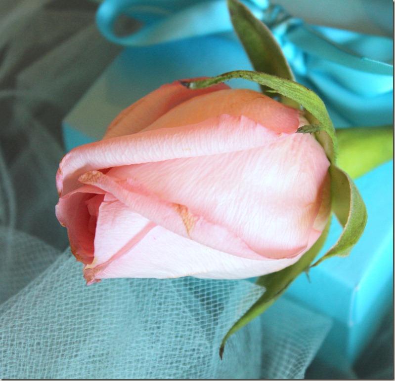 February 5, 2012 Tiffany Tablescape 064