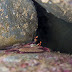 Crw_8583-2