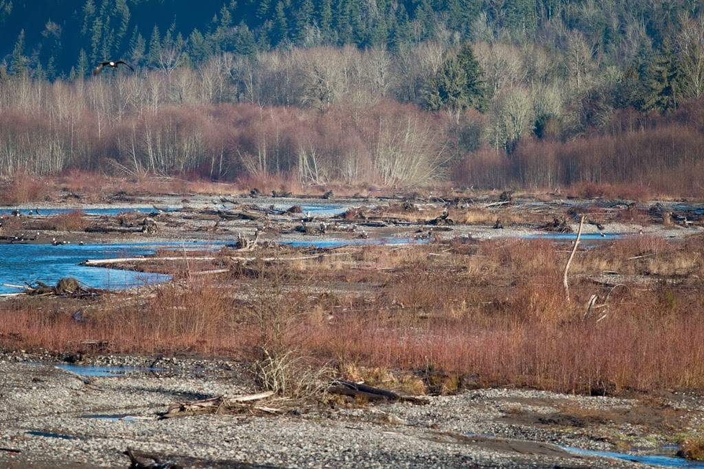 [IMG_3172%255B3%255D.jpg]