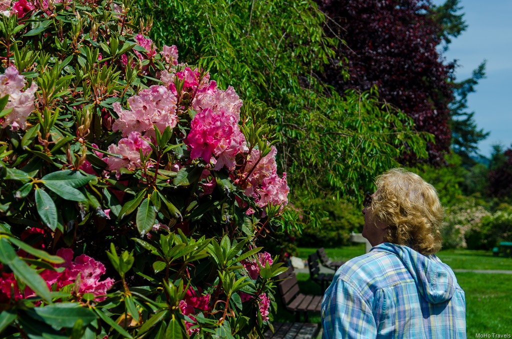 [Loeb%2520Azalea%2520Gard_212%255B2%255D.jpg]