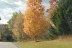 16-Saturday Drive