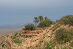 Southern Tunisia_2009.04.06 092.JPG