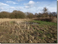 Mechelen-Bovelingen: in het natuurreservaat Overbroek