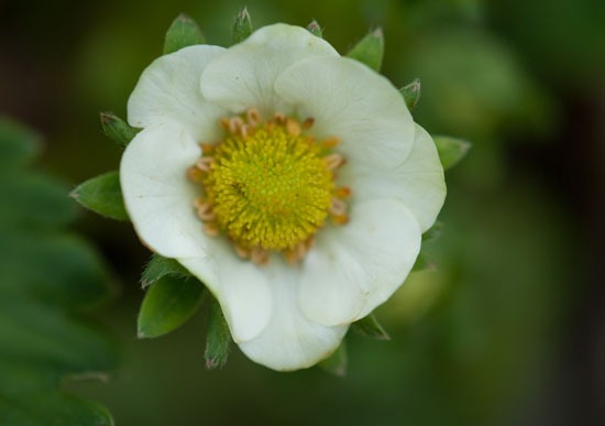 [DSC_4732%255B4%255D.jpg]