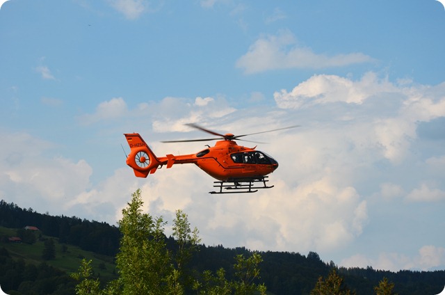 DSC_0508 DSC_0508