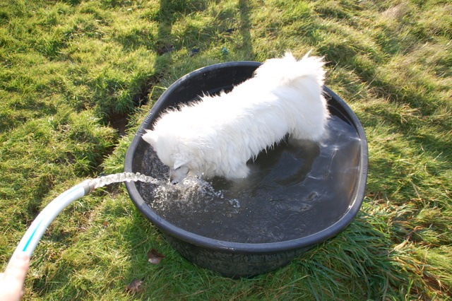 [DSC_5095%255B4%255D.jpg]