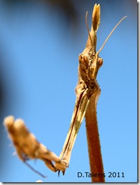 DSC_0186 DSC_0186