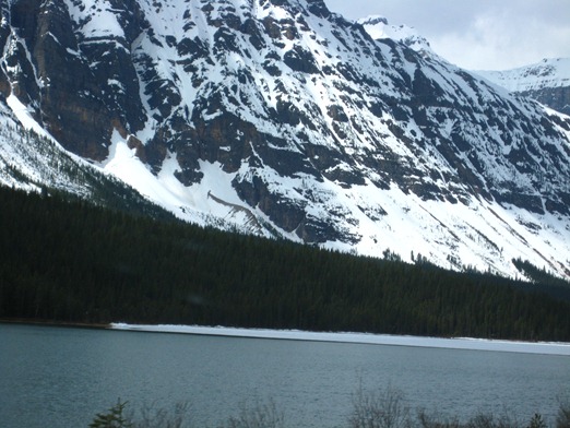IMG_5872 IMG_5872