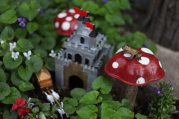 IMG_5246 IMG_5246