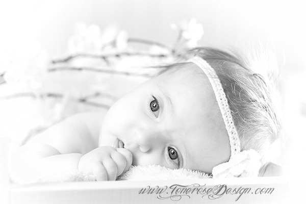 [red%2520IMG_5811%2520barnefotografering%2520gr%25C3%25A5%2520%2520komp%2520merka%255B5%255D.jpg]