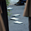 DSC_0038-1.JPG