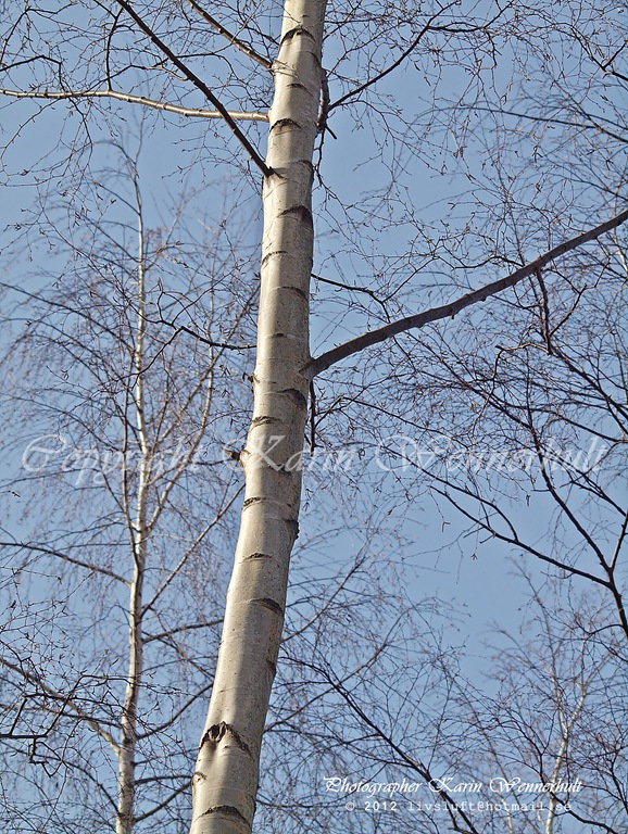 [P1012852RCvtnm3.jpg]
