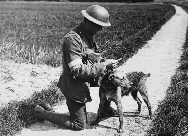 Primeira Guerra Mundial Primeira Guerra Mundial