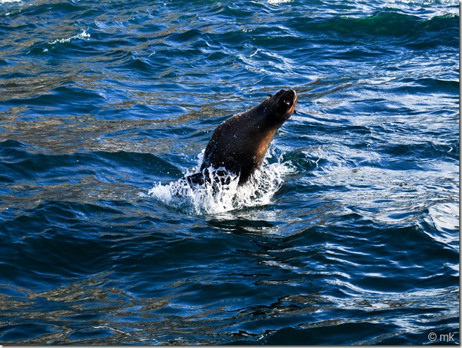 DSC_1366 DSC_1366