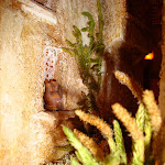 1481-9.JPG