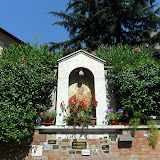SAM_0296.JPG