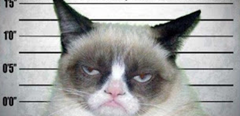 1angry kitty.jpg - Windows Photo Viewer (03-02-2013 14.30.45)