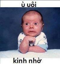 anh troll facebook comment (30) anh troll facebook comment (30)