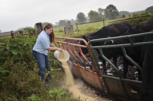 [Marybeth%2520feeding%2520cows%255B3%255D.jpg]