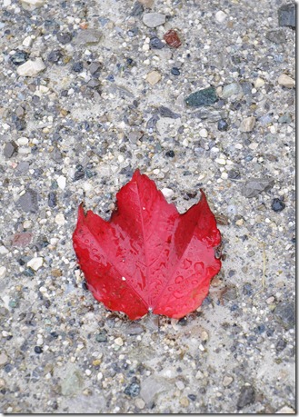 2011-10-07 Garmisch 036